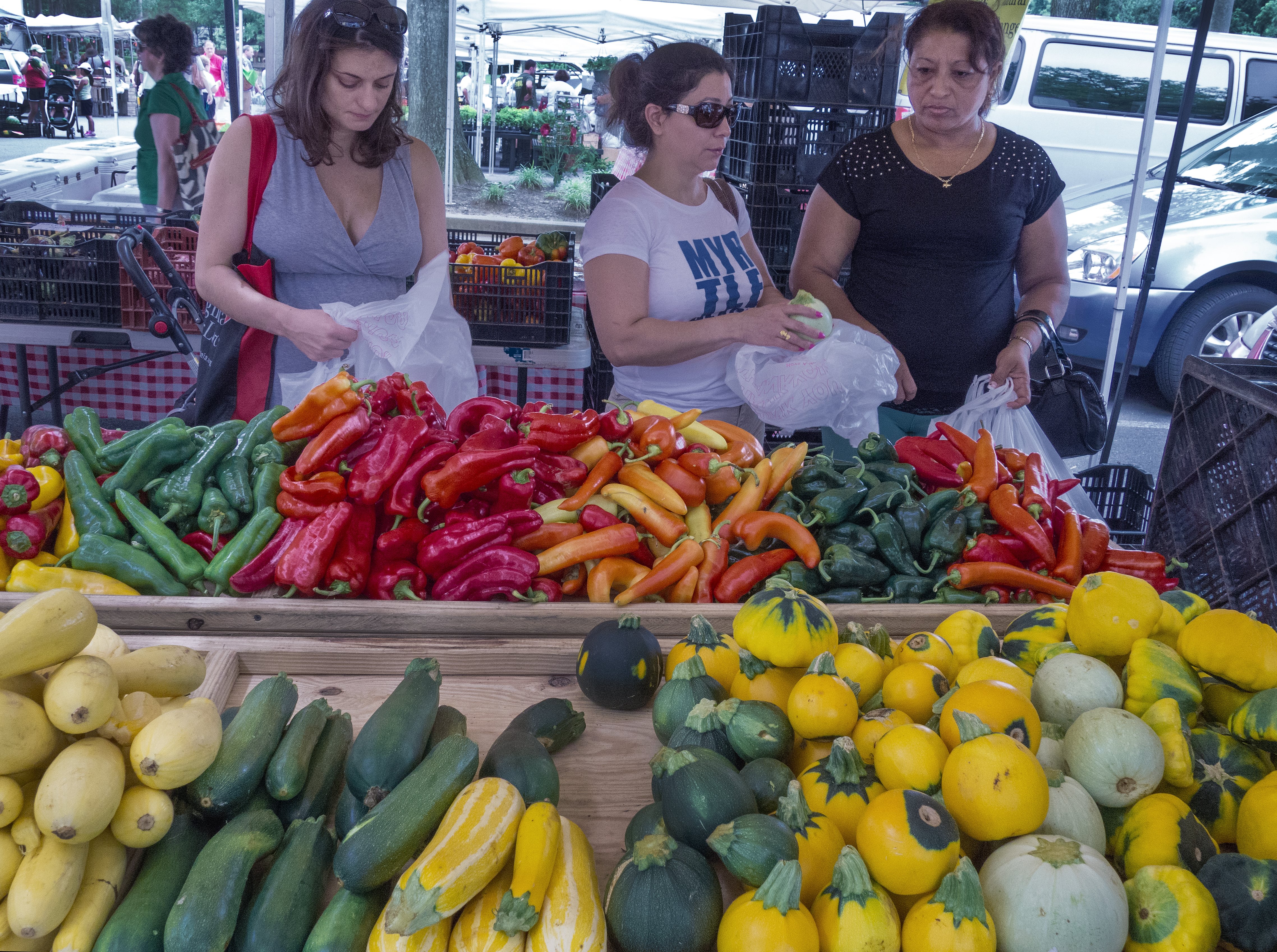 Half of Colorado farmers markets take food stamps