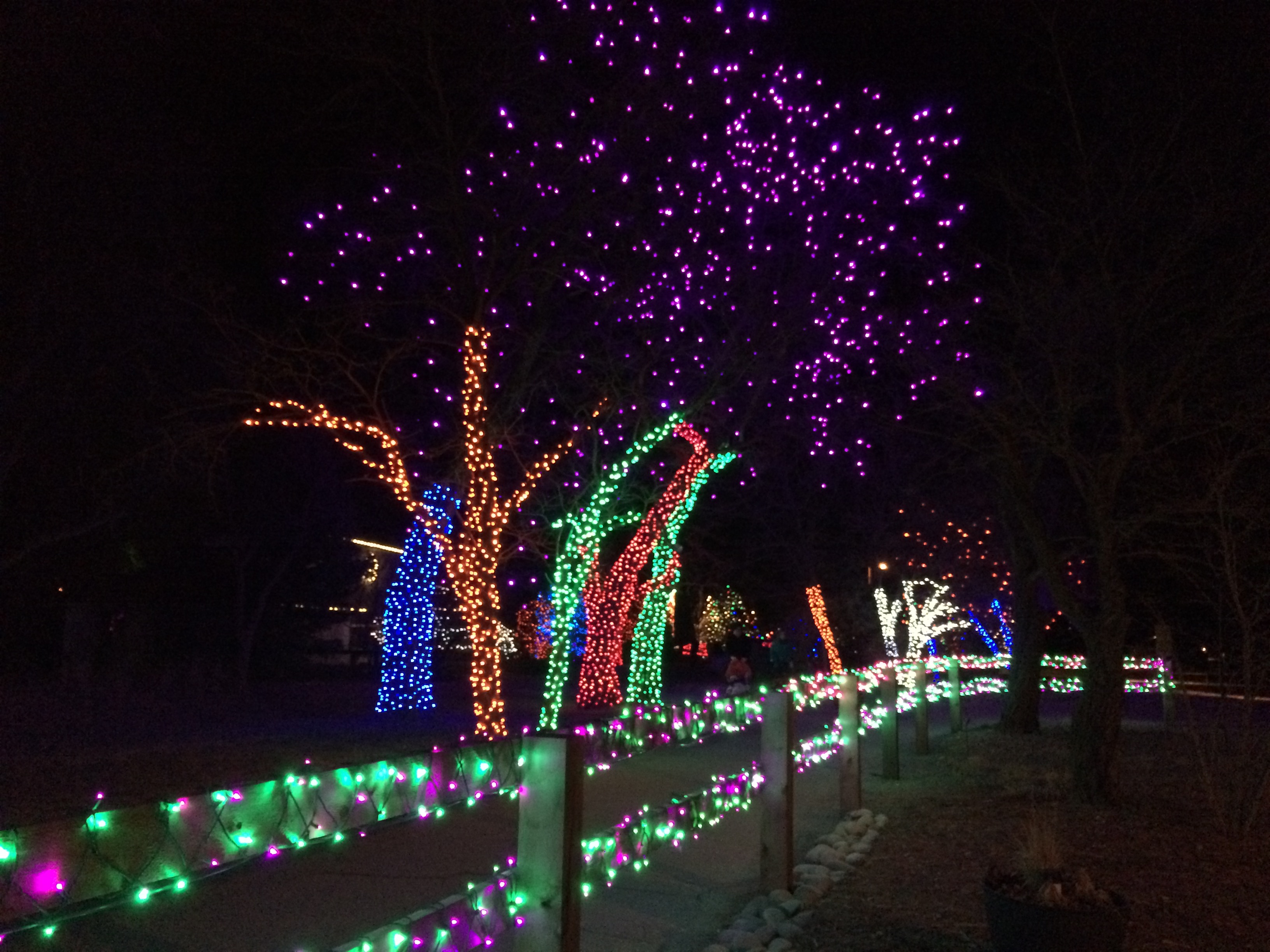 Twinkling fun at the Trail of Lights