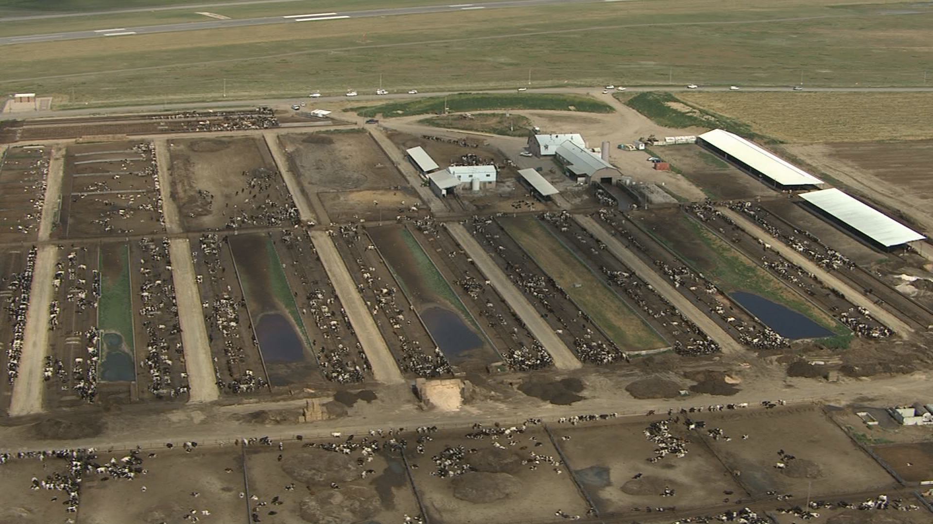 Task force ends search of Loveland dairy farm