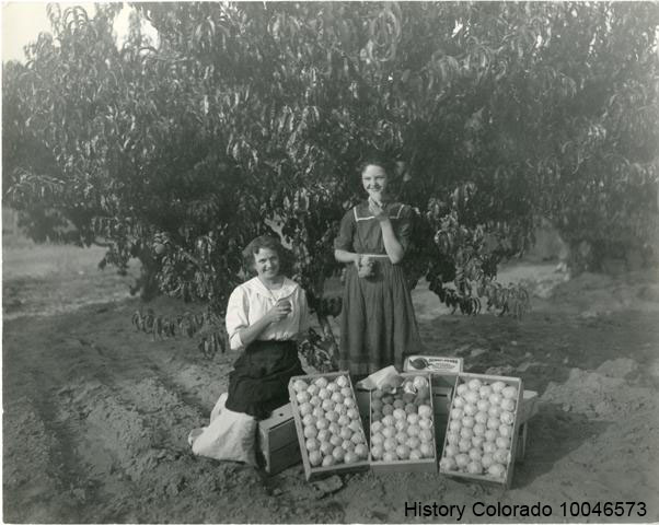 Palisade Peaches: Delicious Colorado History