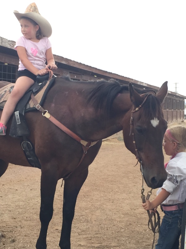 Beloved Castle Rock horse missing