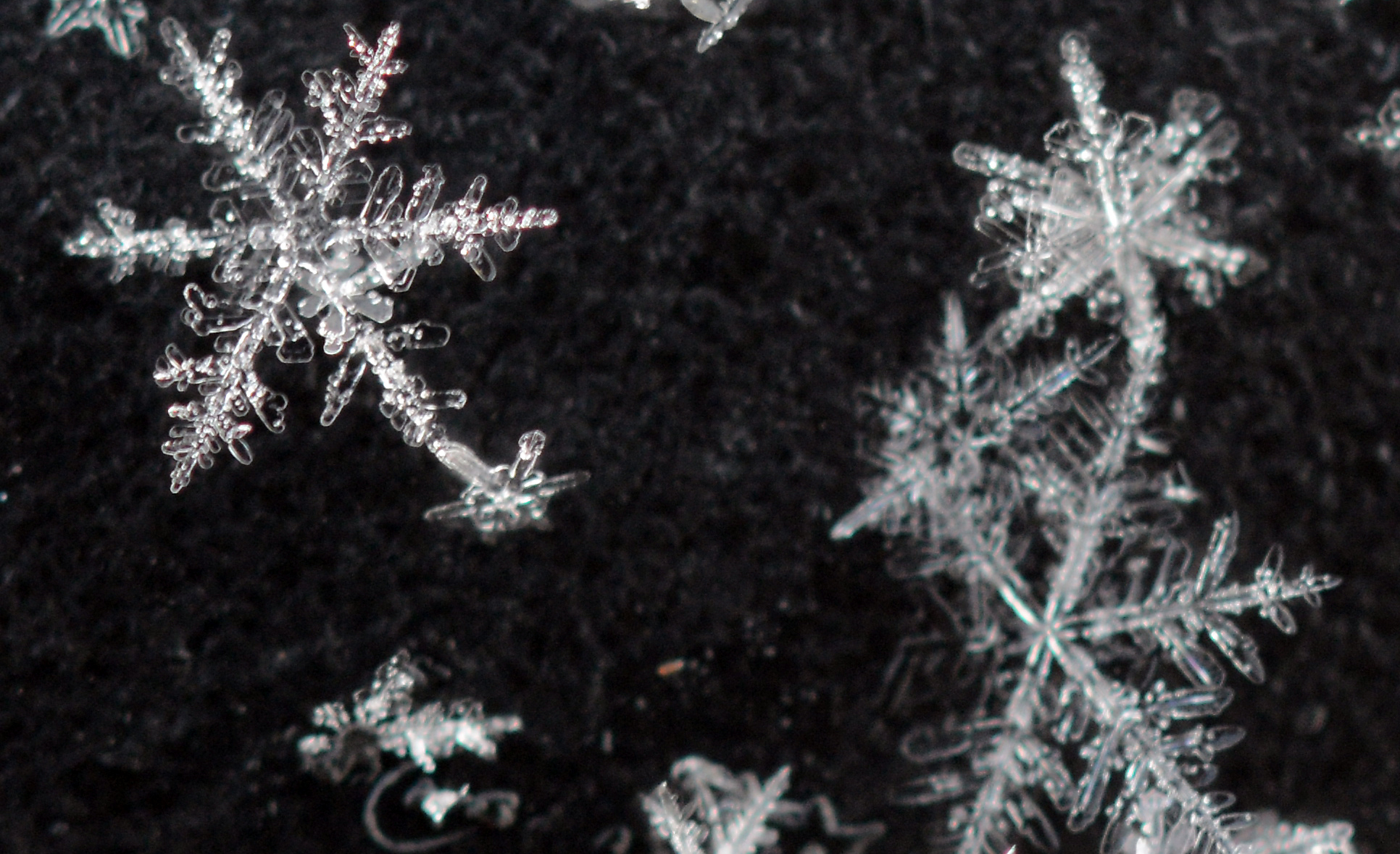 How to avoid holiday house fires | 9news.com