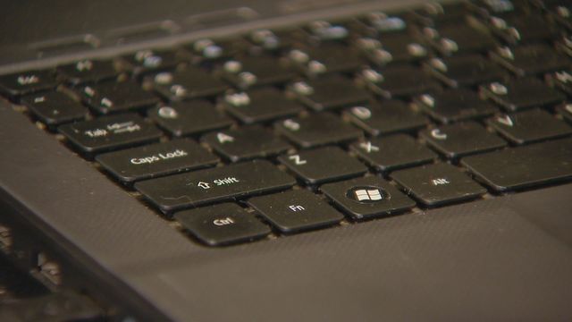What is 'Ransomware?'
