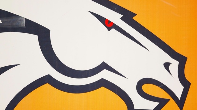 Ex-Bronco joins St. Louis startup