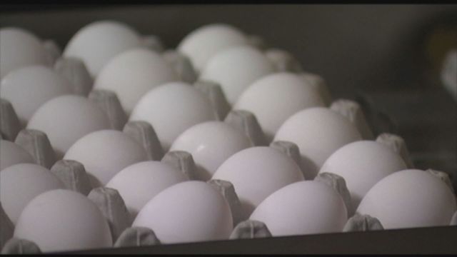 Colorado egg producers will go cage-free