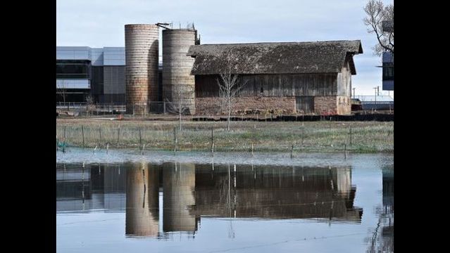 FoCo council gives OK to demolish silos