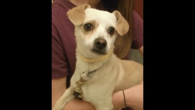 Petline9: Randall loves to play