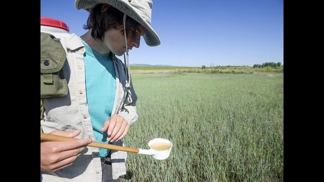 Human case of West Nile in Weld County