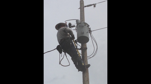 Bear causes power outage in Castle Rock