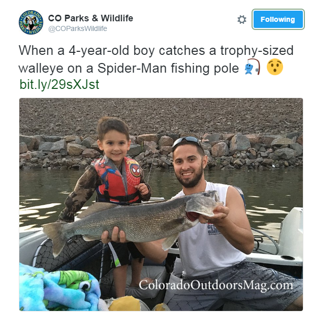 4-year-old catches big fish with toy Spider-Man pole
