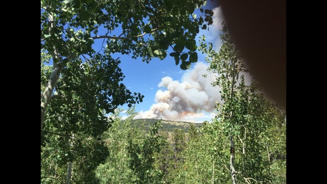 Wildfire burning in Nederland