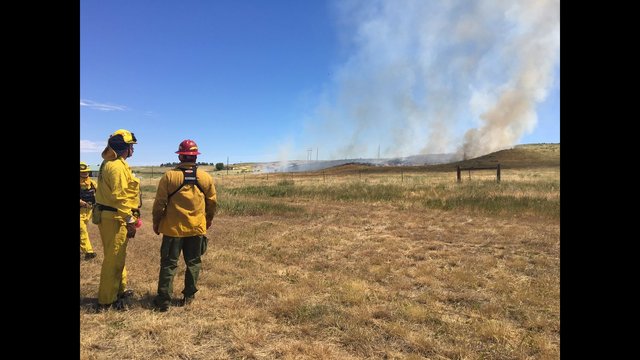 Large brush fire near Roxborough Park Rd