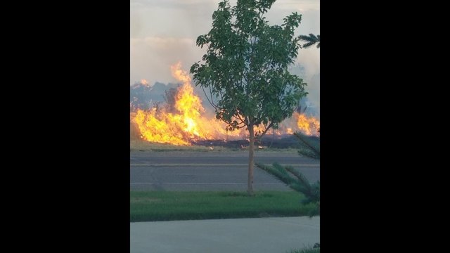 Grass fire burns 3 acres in Thornton