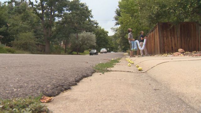 Foragers use app to find urban harvest