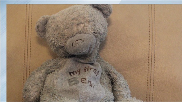 A bear hunt at DIA