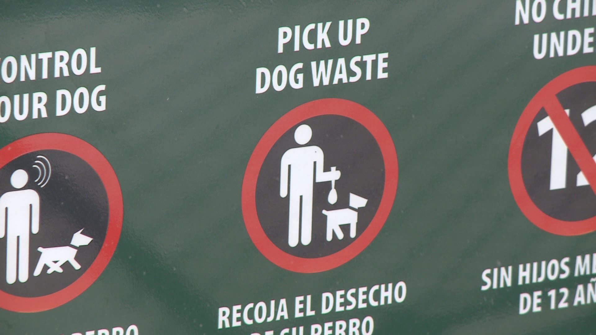 Dog poop upping E. coli levels