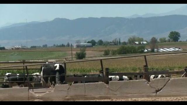 Larimer County farms replaced