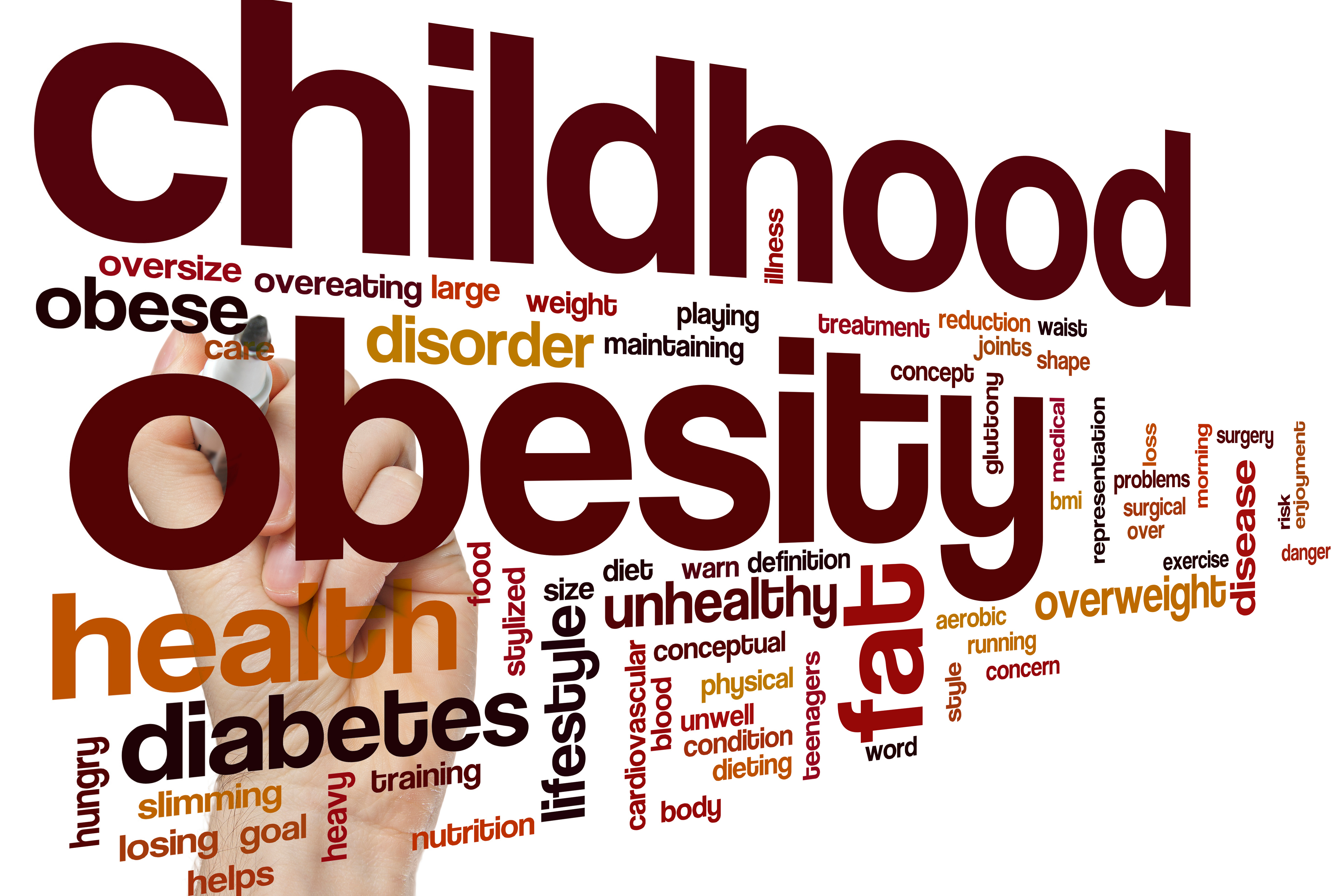 obesity in youth essay obesity in youth essay