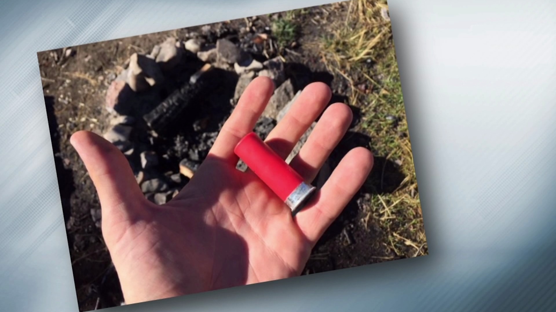 What are the rules about live ammunition in Colorado National Forests