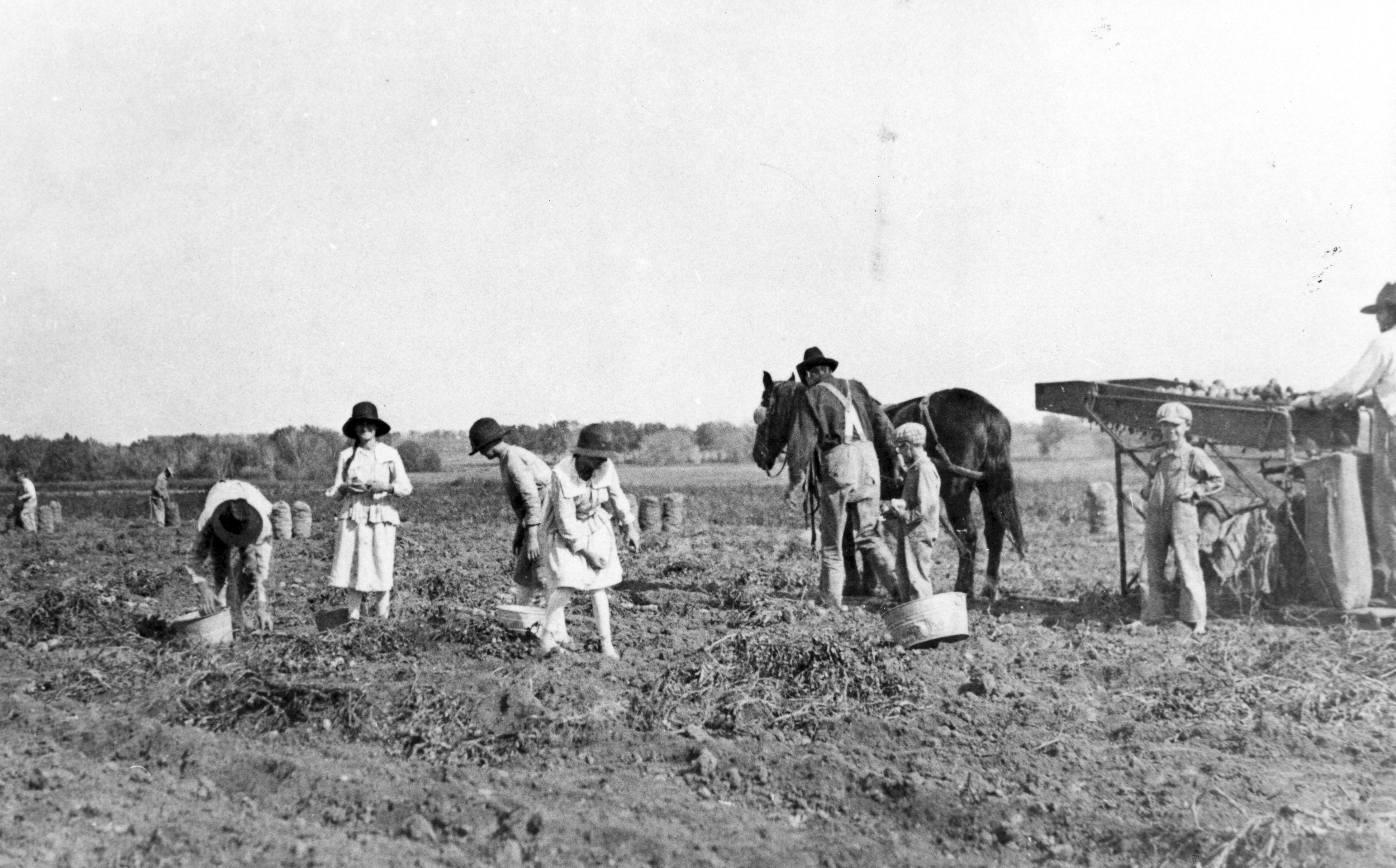 PHOTOS Hoffman Heights in Aurora, born after WWII