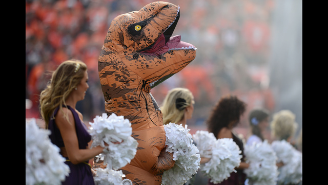Broncos cheerleader dances as dinosaur