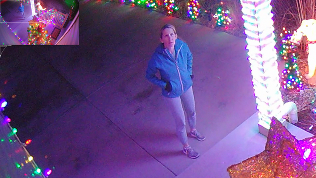 Woman turns herself in for light theft