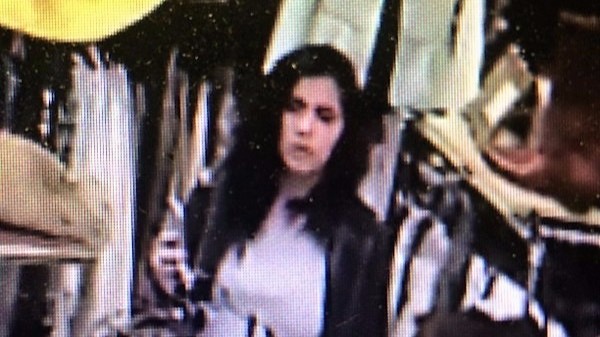 Shoplifter sought in Edwards