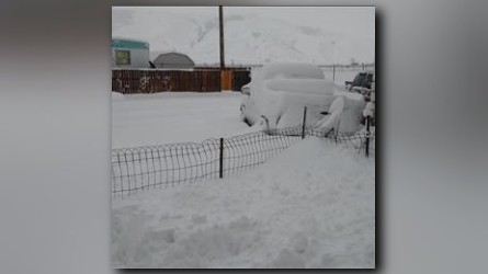 Snow totals are coming in!
