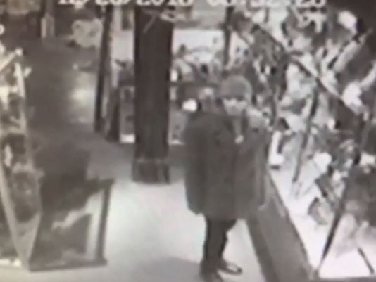 Thief pockets fossil from rock shop