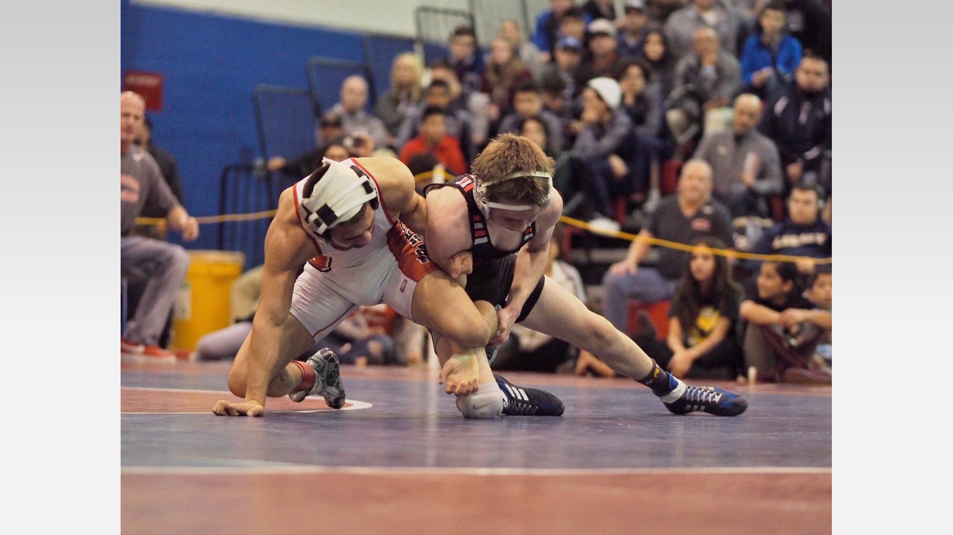 PHOTOS Top of the Rockies Wrestling Tournament