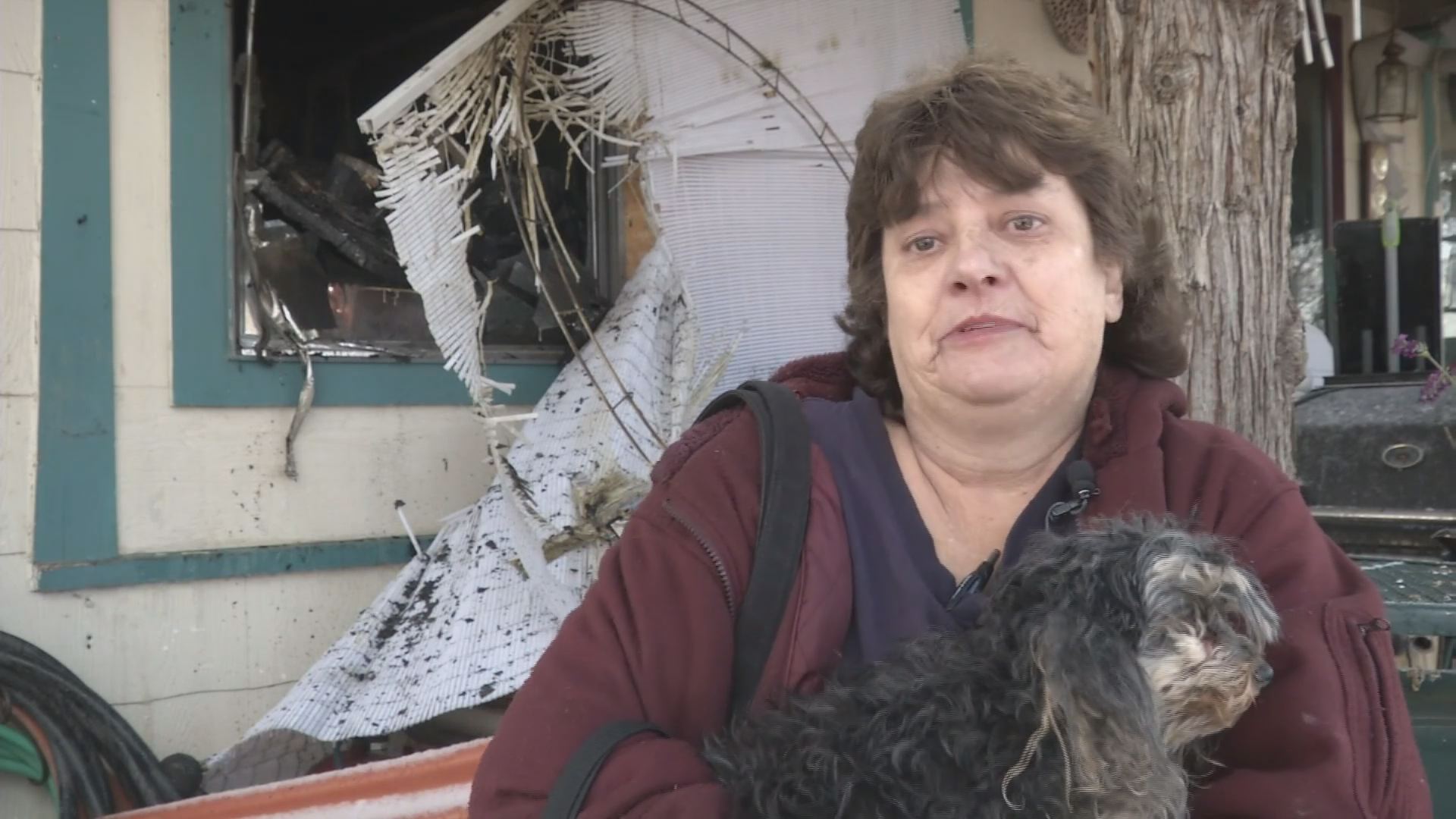Dog saves woman from house fire | 9news.com