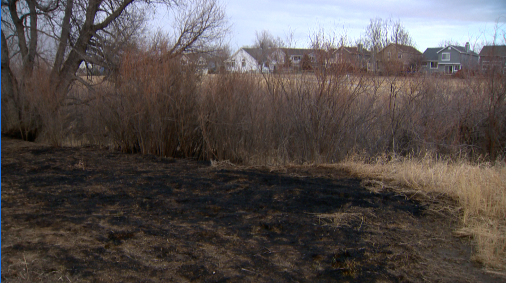 South Metro: Kids start two brush fires