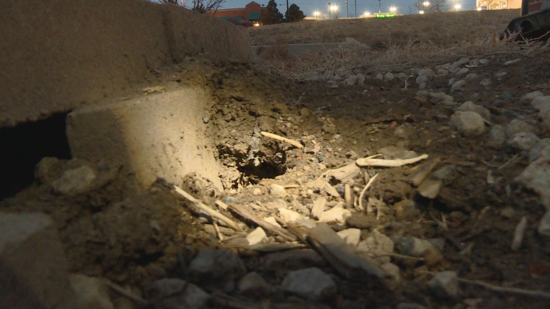 Cities report increased rat problem