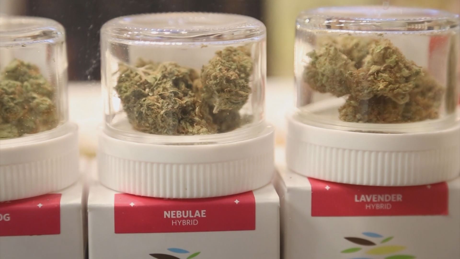 First study underway examining THC in breast milk