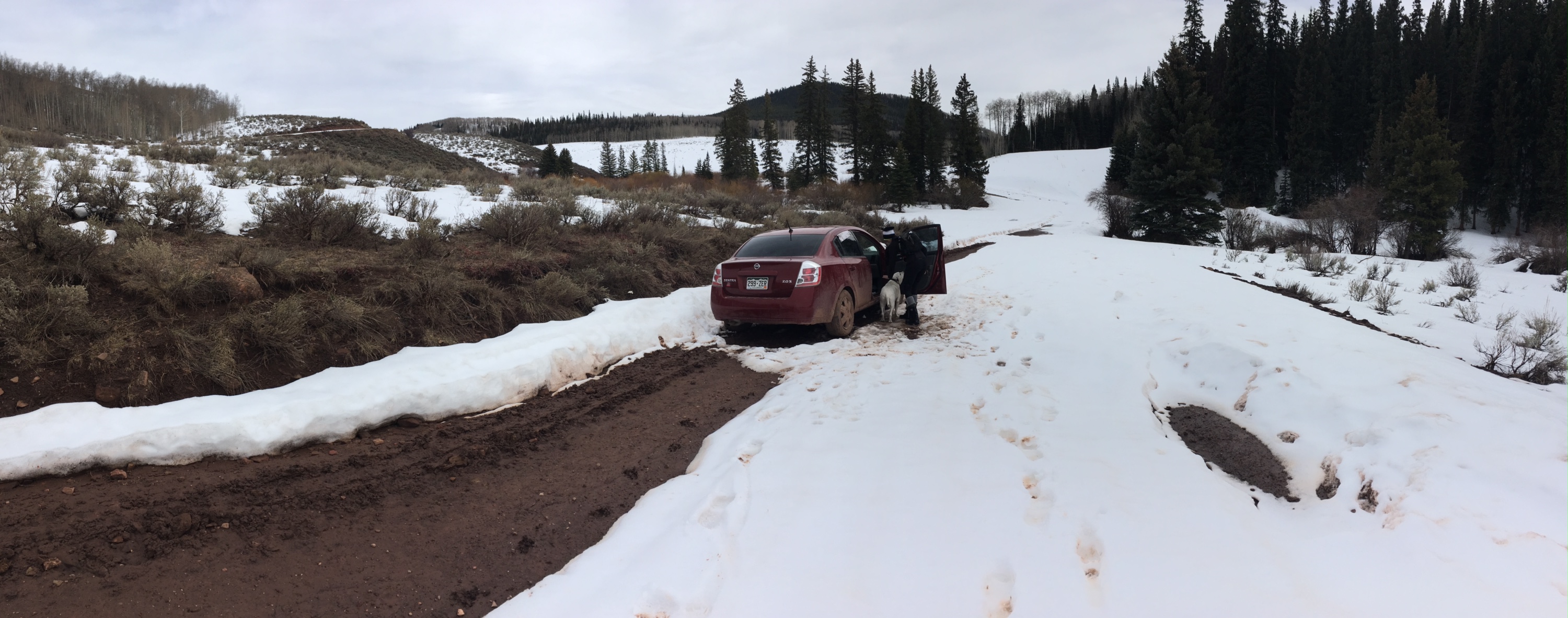 85-year-old survives five days in car