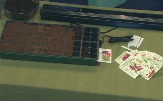 Proctor's Garden: Seed starting success