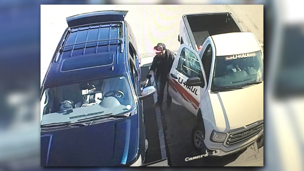 SUV stolen with dogs inside
