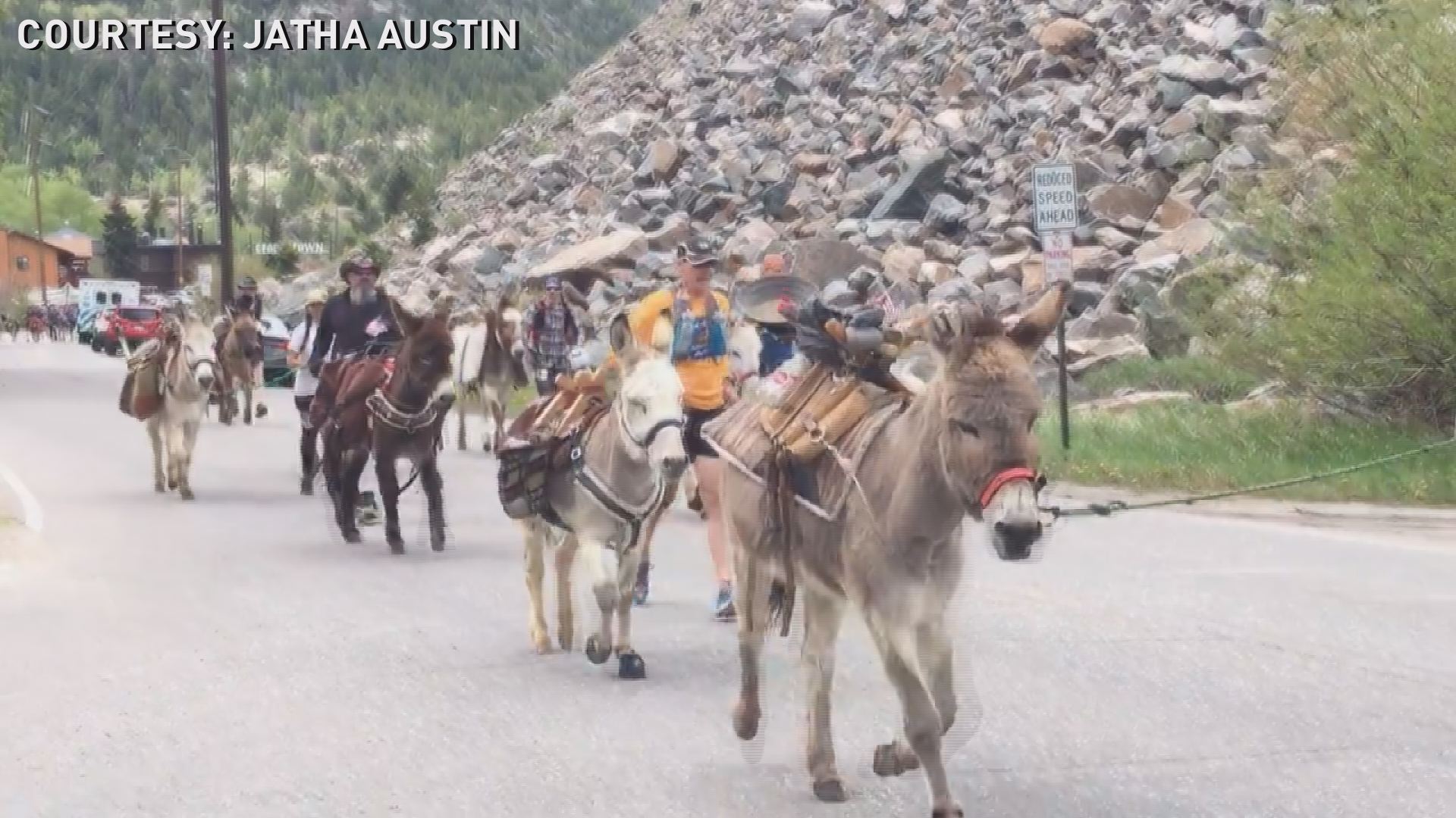 A Colorado donkey dash