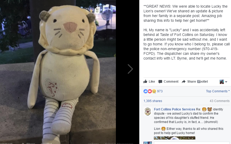 'Lucky' lion finds its way home