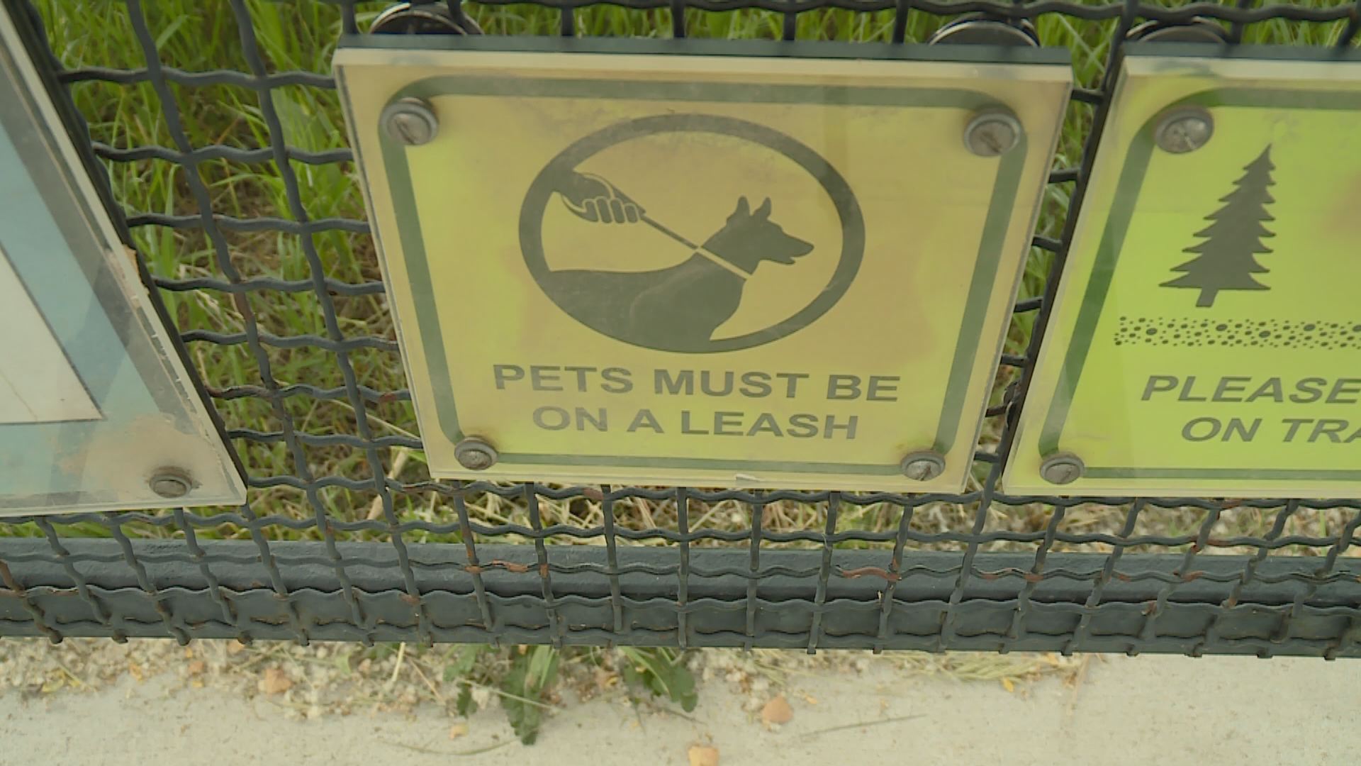 Leash law crackdown in Lafayette
