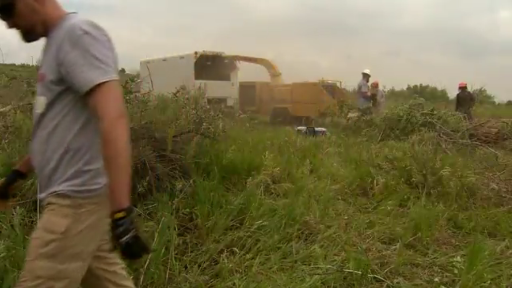 Crews trim brush to keep out...