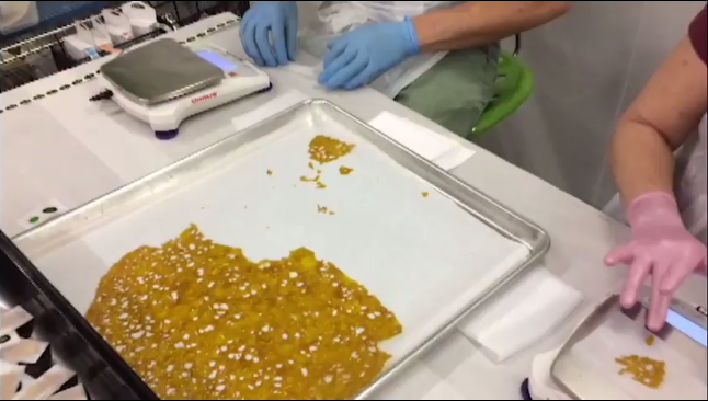 DBJ Jobs: Marijuana edibles chef Hope...
