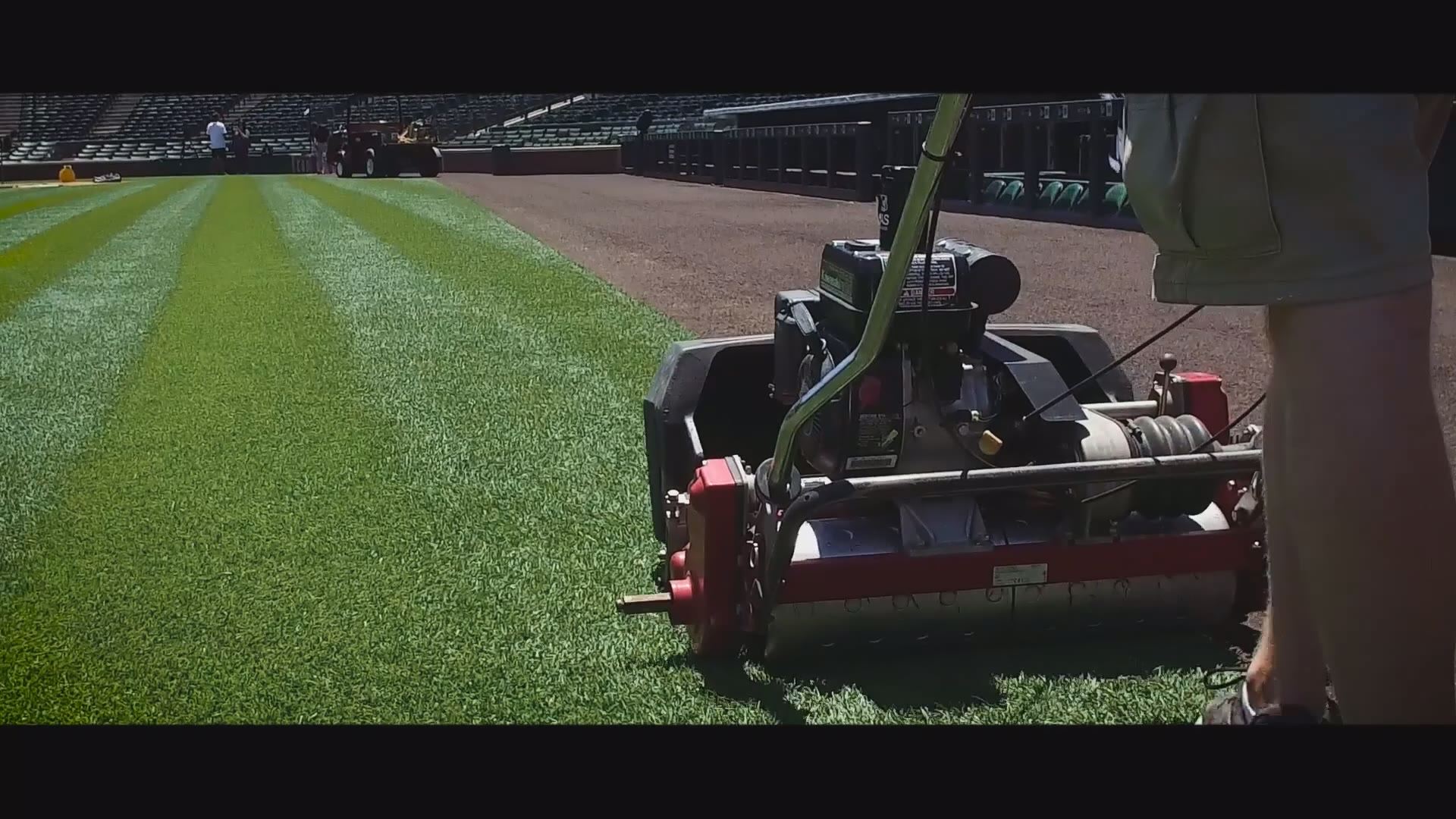 Coors Field Columbines - Colorado Hardscapes