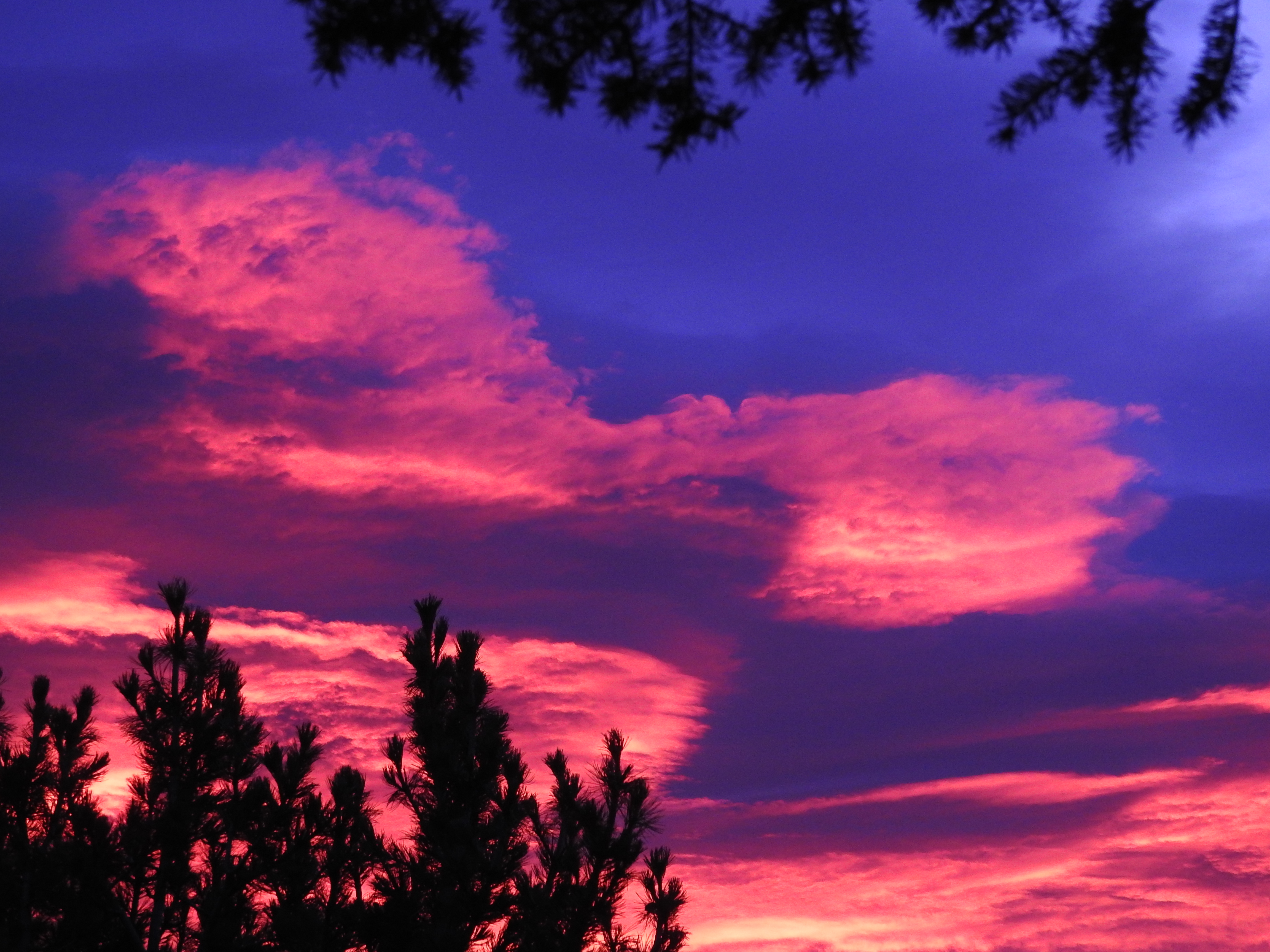 Parks, AZ : morning sunrise near Sherwood Forest photo 