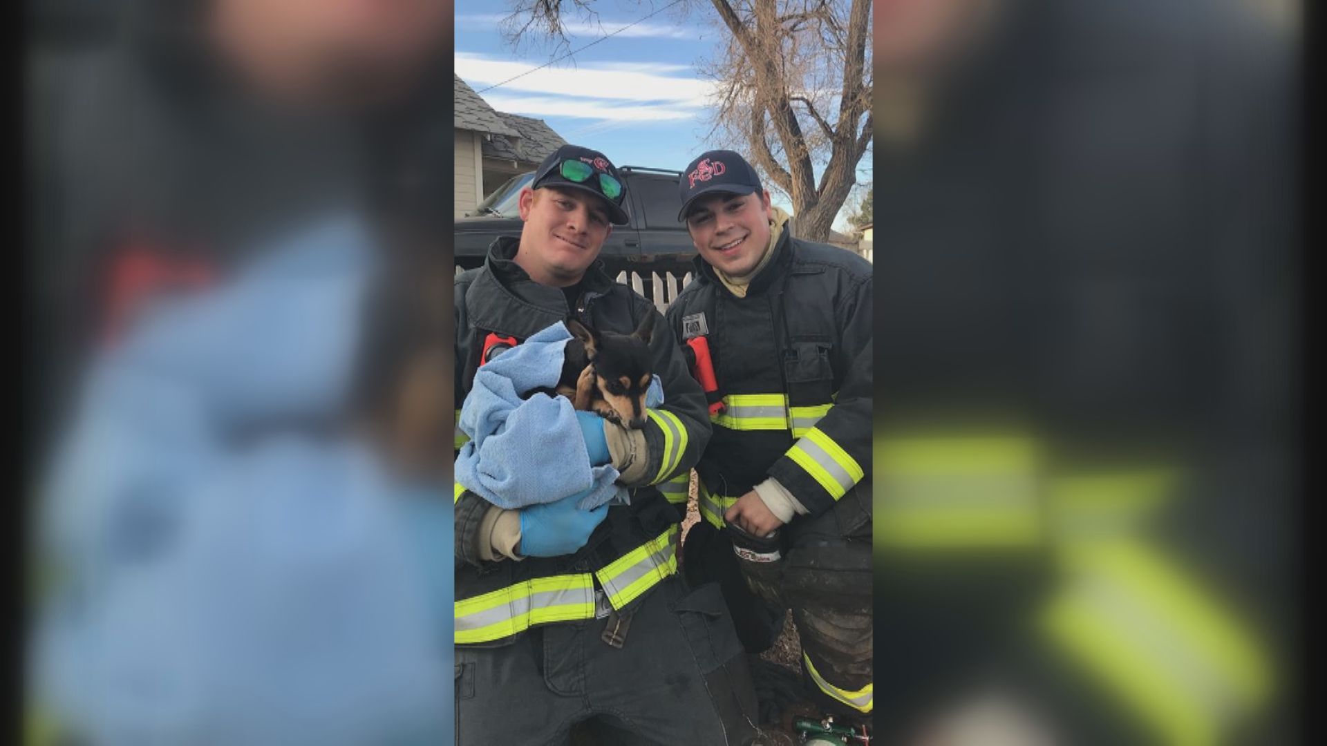 Firefighters rescue dog from burning RV | 9news.com