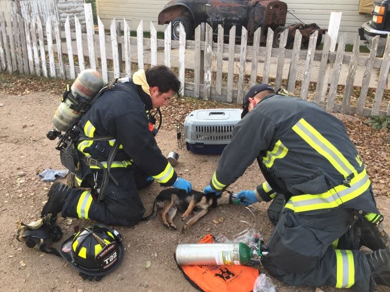 Firefighters rescue dog from burning RV | 9news.com