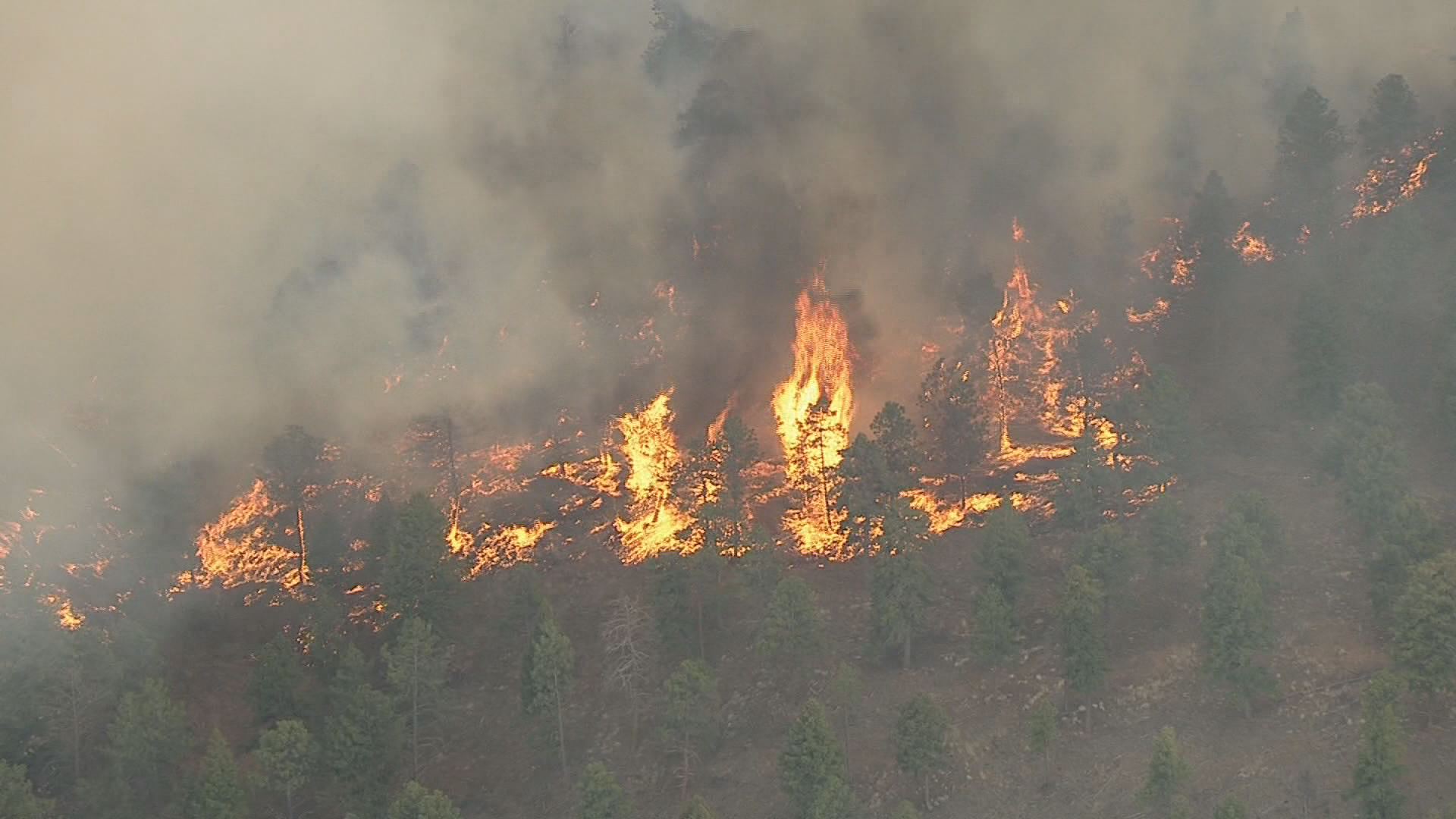 Projects teaches Coloradans about wildfire mitigation | 9news.com