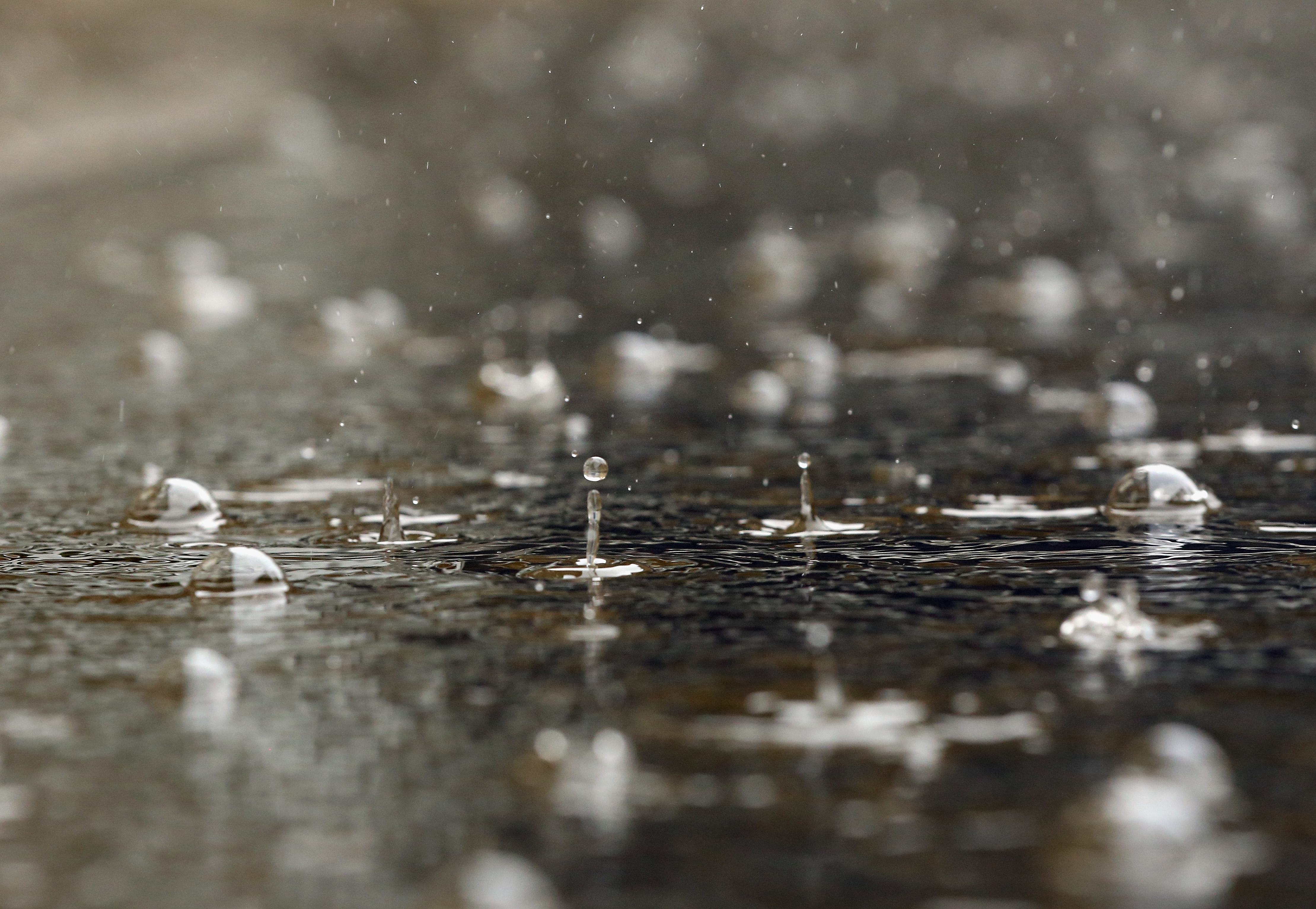 Bill seeks to make rain barrels legal in Colorado | 9news.com