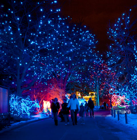 Zoo Lights begins in December | 9news.com