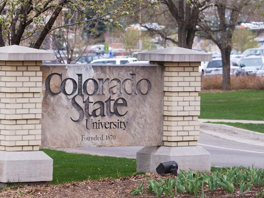 Specter of faculty strikes, union raised at CSU | 9news.com